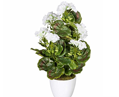 kunstpflanzen-discount.com - Geranio Artificial, diseño Floral, Resistente a los Rayos UV, 40 cm, Color Blanco