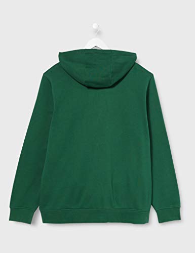 Lacoste Sport SH1527, Sudadera Hombre, Verde (Vert/Vert), XL