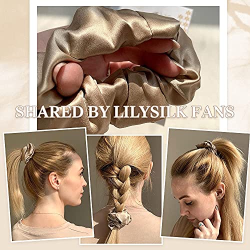 LilySilk Paquete de 4 gomas para el cabello de seda color canela, conjunto grande y delgado, gomas de seda Charmeuse para el cabello, 100 gomas elásticas de seda, para Mujer Grande Bronceado