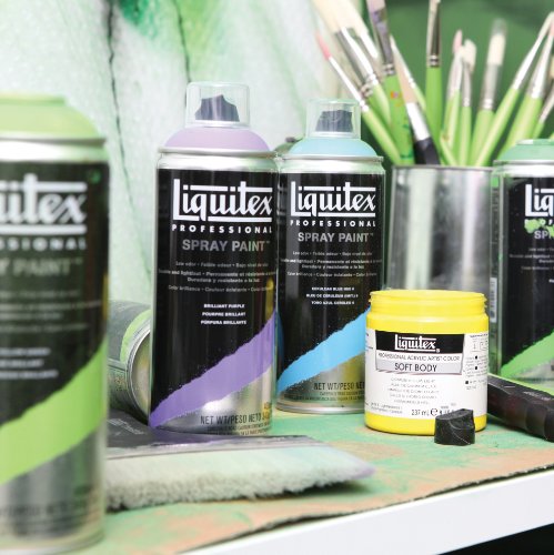 Liquitex Professional - Set de 6 boquillas variadas para aerosoles