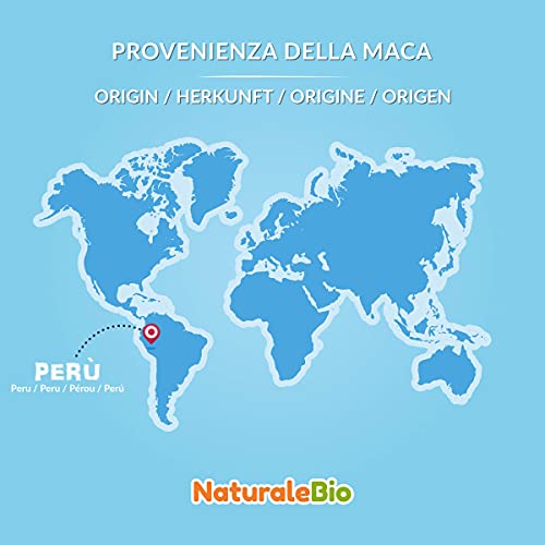 Maca Andina Ecológica en Polvo 1 kg. Organic Maca Powder Gelatinized. Peruana, Bio y Pura, viene de raíz de Maca Organica - Gelatinizada - NaturaleBio
