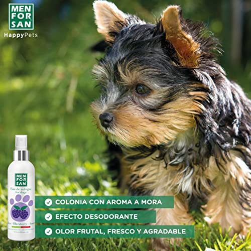 MENFORSAN Agua de Colonia Mora para Perros 125ml - Pack de 3 Unidades