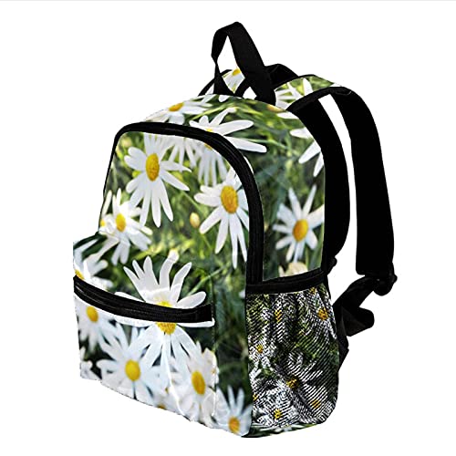 Mochila para niños Flor de manzanilla Margarita Mochila para niños Mochila Escolar Toddler Kids Mochila Escolar para niños pequeños, Mochila para 3-8 años 25.4x10x30 CM