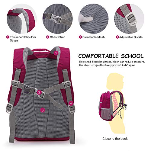 MOUNTAINTOP Mochila Escolar para Niños y Niñas Mochilas Infantiles Impermeable Ligera Mochila Infantil al Aire Libre 26 x 16 x 37cm