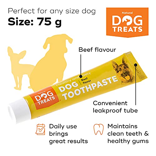 Natural Dog Treats Cepillo y 4X Dentífrico Set para Perros, Set Higiene Dental, Pasta de Dientes Sabor a Carne, Cuidado Dental Comestible
