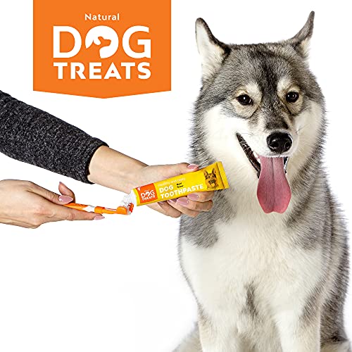 Natural Dog Treats Cepillo y 4X Dentífrico Set para Perros, Set Higiene Dental, Pasta de Dientes Sabor a Carne, Cuidado Dental Comestible