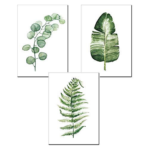 Nicole Knupfer 3pcs Art Vintage Poster Print Botanical Green Plantas Hojas Pop Ilustración Decoración de la pared (A,30x40cm)