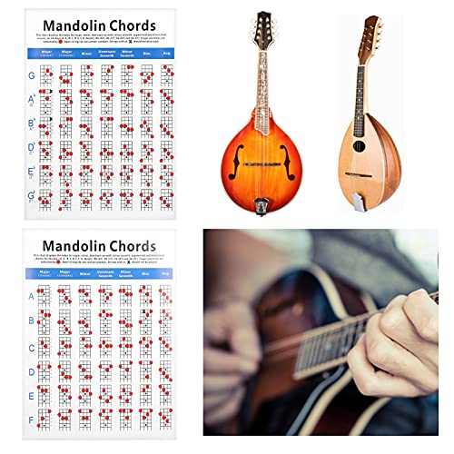 Notas de Acordes de Mandolina, Acordes de Mandolina, Embalaje de Tubo Largo, Accesorios de Instrumentos Musicales, Prácticos para Principiantes