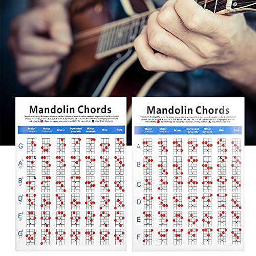 Notas de Acordes de Mandolina, Acordes de Mandolina, Embalaje de Tubo Largo, Accesorios de Instrumentos Musicales, Prácticos para Principiantes
