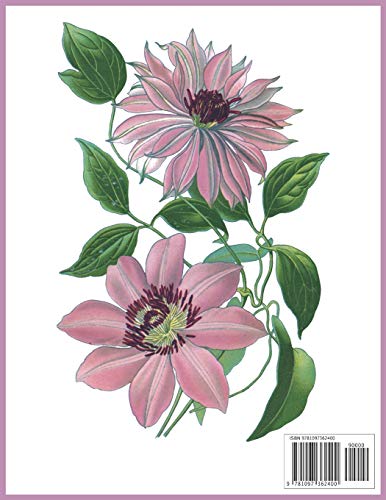 Notebook Clematis: Blank journal. 150 pages, Soft cover, A4+ (21.59 x 27.94 cm) 8,5 x 11 inch