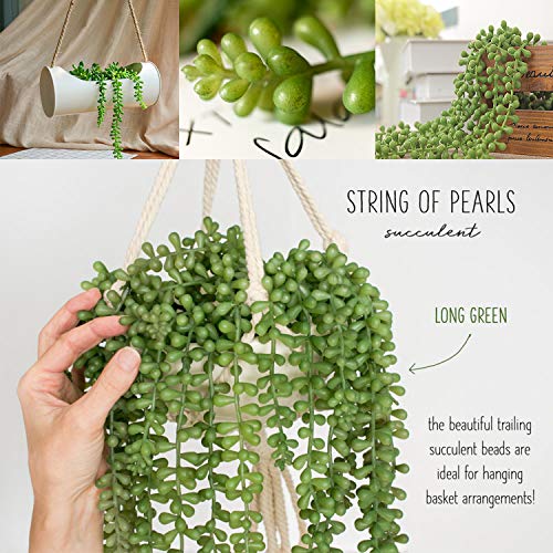 Noverlife 4PCS Cadena Artificial de Perlas suculentas, Planta de Vid Colgante Falsa para la decoración de la Pared del jardín del hogar del Banquete de Boda