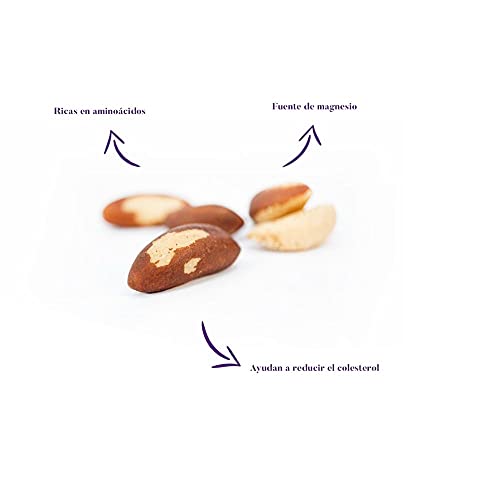 Nueces de Brasil 100% Natural nut&me l 525 gr | Rico en fibra | Sin Gluten | Vegano | Sin conservantes | Pack 3 unidades (175 g/unidad)