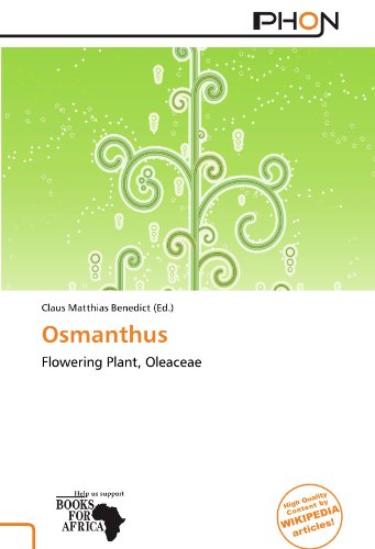Osmanthus: Flowering Plant, Oleaceae