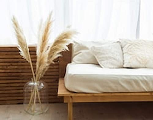 Pampas Grass Decoracion Grandes, Flores Secas De Pampas Decorativas. 118cm Plumas 60/70 Cm. Ramos Naturales, Pampas Secas Decoration Grandes, Espigas Secas Decorativas, Plumas Decoration,