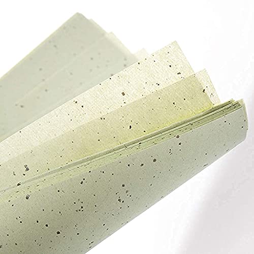 Papel absorbente de aceite facial LuLyL, 600 hojas de toallas de papel absorbentes de aceite natural, película de papel absorbente de aceite facial de tejido para hombres y mujeres