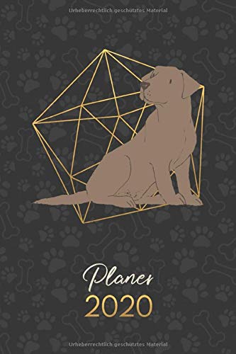 Planer 2020: Terminkalender Wochenplaner Monatsplaner  - Labrador Retriever Cholocate Brown (12 Monate Jan bis Dez - Kalender - Hund)