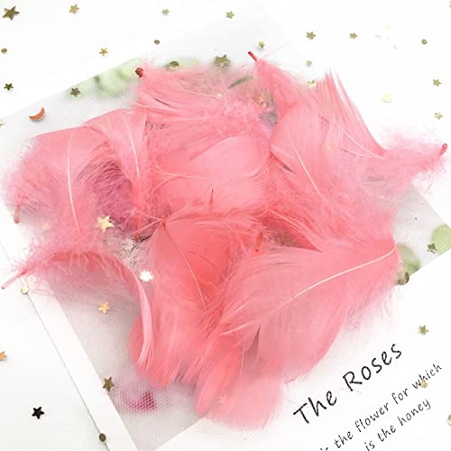 Plumas de ganso naturales, plumas de cisne de 4 a 8 cm, plumas de plumas de cisne, para decoración del hogar, manualidades, accesorios de joyería de boda, 100 unidades, color negro