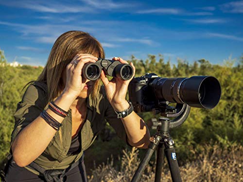 Prismáticos Olympus 8-16x40 S con correa, funda y 15 años de garantía. Imágenes claras, campo de visión gran angular, ligeros: para la observación de conciertos, eventos deportivos y naturaleza.