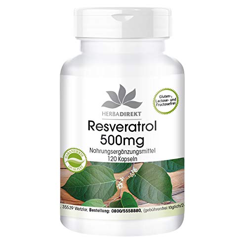 Resveratrol 500mg – Extracto de Fallopia japonica – Vegano – 120 cápsulas