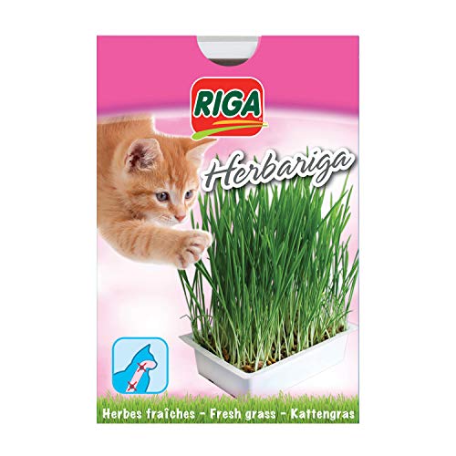 Riga Herbariga para Gatos – Juego de 4