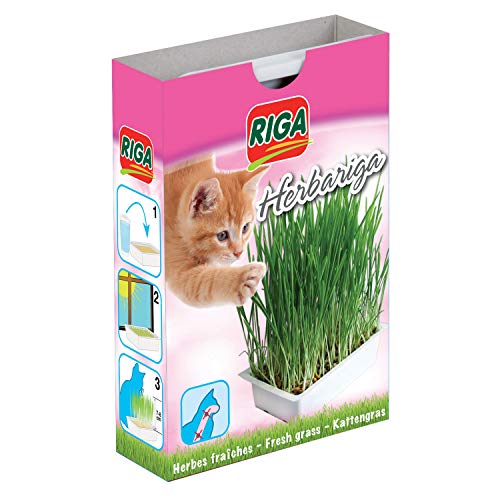 Riga Herbariga para Gatos – Juego de 4