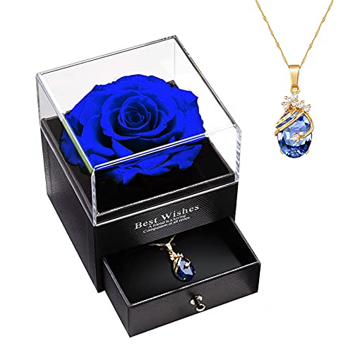 Rosa Preservada con Collar, Hecha a Mano Rosa Eterna, Regalo para Mujer para Día de la Madre/San Valentín/Aniversario Bodas/Cumpleaños - Ella/Novia/Esposa/Mamá