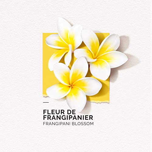 Solinotes Paris Fleur De Frangipanier Eau De Parfum Spray 50 Ml For Women