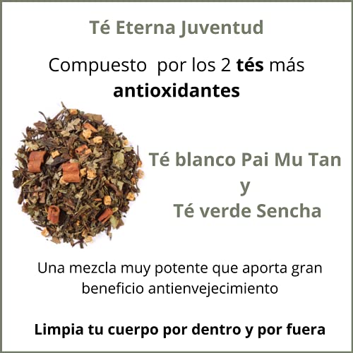 TÉ DEPURATIVO DETOX | Infusiones Antioxidantes Potentes Naturales | Té Verde Sencha Perfecto para Cuidar tu Piel, Huesos y Organismo. NUEVO PRODUCTO