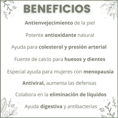 TÉ DEPURATIVO DETOX | Infusiones Antioxidantes Potentes Naturales | Té Verde Sencha Perfecto para Cuidar tu Piel, Huesos y Organismo. NUEVO PRODUCTO