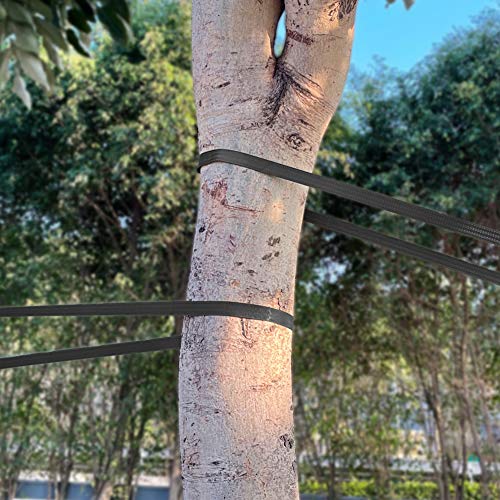 tenn well Correa para lazos de árbol, 65.6 pies, 997.8 kg, resistente nailon para plantas de jardín, para estacar, guying, soportes de plantas, injerto y enderezar (negro)