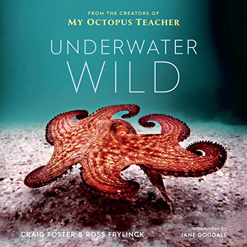 The Underwater Wild: My Octopus Teacher's Extraordinary World (English Edition)