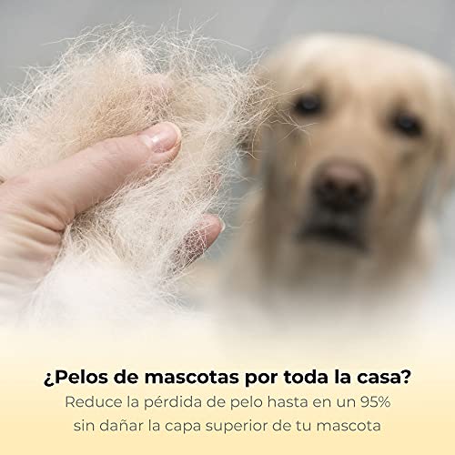 Thunderpaws Peine Profesional para Mascotas, Herramienta de Cuidado para Perros, D-Shedz para Razas de Perros, Gatos con Pelo Corto o Largo, Pequeño, Mediano y Grande (Amarillo)