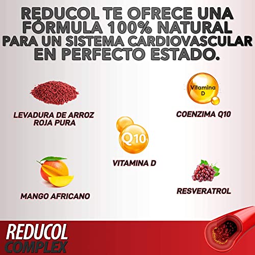 Tratamiento para el Colesterol | Levadura de Arroz rojo, Coenzima Q10, Resveratrol y Vitamina D | Colesterol sano | Reduce los niveles de Colesterol | Protege la salud cardiovascular | 60 cápsulas.