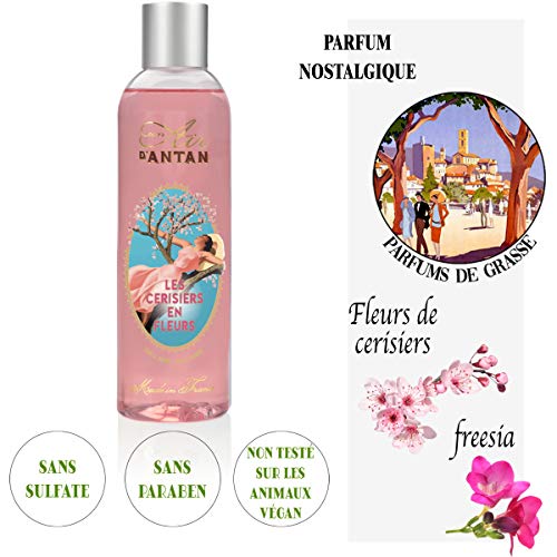 Un Air d'Antan® Gel 2-en-1: Gel de espuma para Ducha y Baño, Flor de Cerezo Primaveral - Perfume Dulce y Floral: Flor de cerezo y fresia - Fórmula espumosa e hidratante - 250ml mixto hombres/mujeres