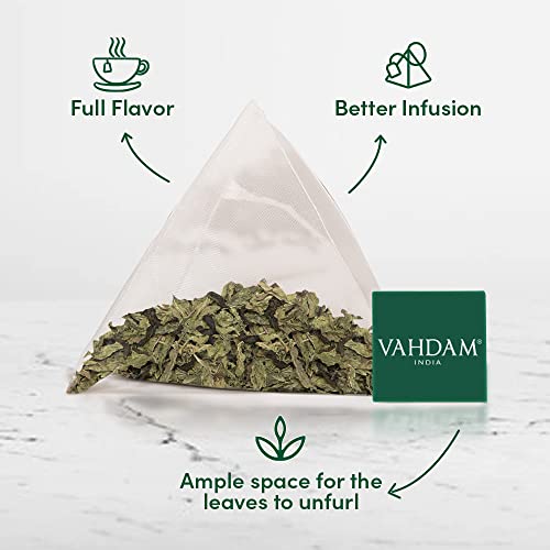 VAHDAM, Té Verde de Menta, (100 Bolsitas de Té) | Bolsas de Té de Menta FRESCA | Hojas Largas de Té Verde | Hojas de Menta y Hierbabuena 100% NATURAL