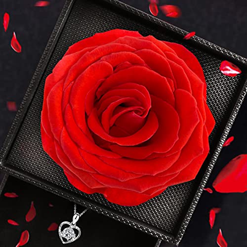 Viosmut Juego de Rosa Eterna, Flores Preservadas Caja de Joyería con Cadena, Rosa Eterna Natural para el día de San Valentín Día de la madre Boda Cumpleaños Aniversario Día de Navidad Regalo Romántico