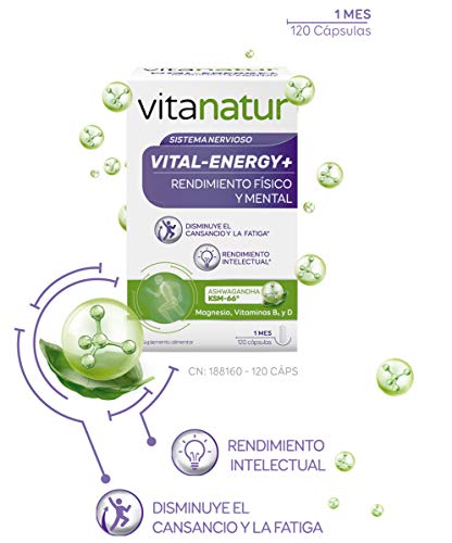 Vitanatur - Vital-Energy+. Complemento Alimenticio a Base de Magnesio, Ashwagandha y Vitaminas B5 y D - Bote con 120 Cápsulas
