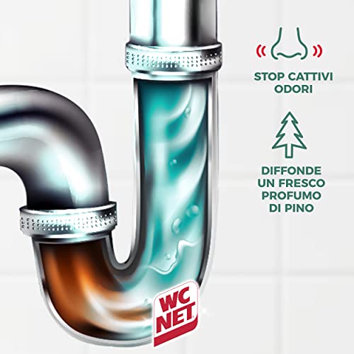 WC Net – Tratamiento para Tuberías domésticas, aroma de pino – 1 l