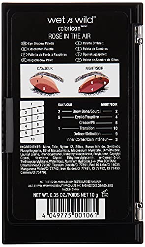 Wet n Wild - Color Icon 10 Pan Palette - Paleta de Sombras de Ojos - 10 Colores de Sombras Brillantes y Mates para el Día y la Noche, de Larga Duración y Fáciles de Mezclar - Rosé in the Air