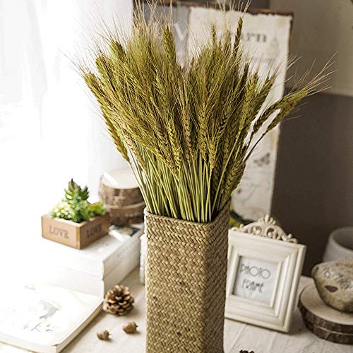 XHXSTORE 100pcs Ramo de Flores Secas Naturales Pequeñas 43cm Rama Espigas de Trigo Artificiales Planta Seca Decorativa para Jarrones Mesa Hogar Florero Boda Fiesta