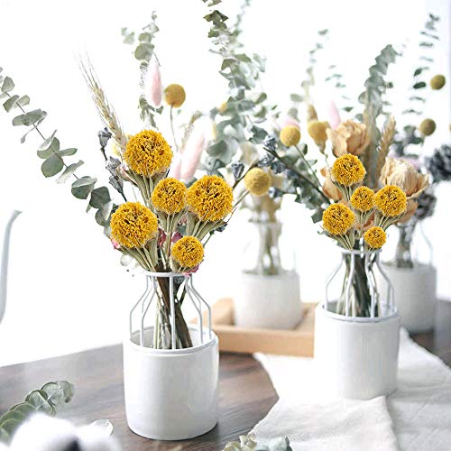 XHXSTORE 20pcs Flores Secas Gypsophila Amarillo Ramo de Flores Naturales Otoño para Decoración Ramo de Boda Mesa Manualidades Fiesta Navidad Otoño Hogar