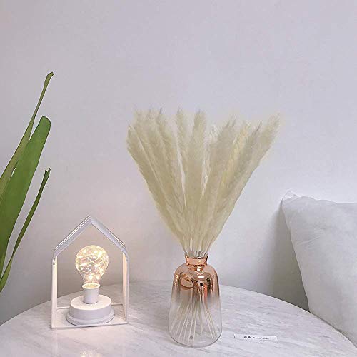 XHXSTORE 30pcs Flores Secas Naturales Blancas, Hierba de Pampas Secas Decoracion Grandes 45cm Tallo de Flor Seca Natural Pluma para Jarrones Interior Exterior Boda Hogar Fiesta Phragmites Communis