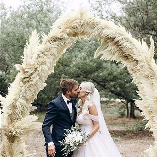 XHXSTORE 30pcs Flores Secas Naturales Blancas, Hierba de Pampas Secas Decoracion Grandes 45cm Tallo de Flor Seca Natural Pluma para Jarrones Interior Exterior Boda Hogar Fiesta Phragmites Communis