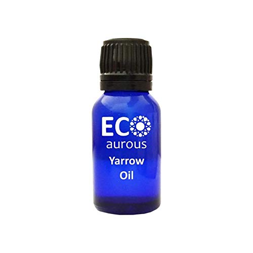 Yarrow Oil (Achillea Millefolium) 100% Natural, Organic, Vegan & Cruelty Free Yarrow Essential Oil | Pure Yarrow Oil By Eco Aurous (50 ml)