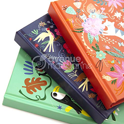 Avenue Mandarine CO205C - Un journal intime 240 pages lignées 11x14 cm avec fermeture cadenas, Oiseaux et fleurs