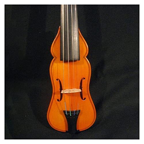 BEIYAO Estudiante violín Violín Raro 3/4 Bolsillo Violín Agradable Sonido Cálido Gratis con Un Estuche Duro