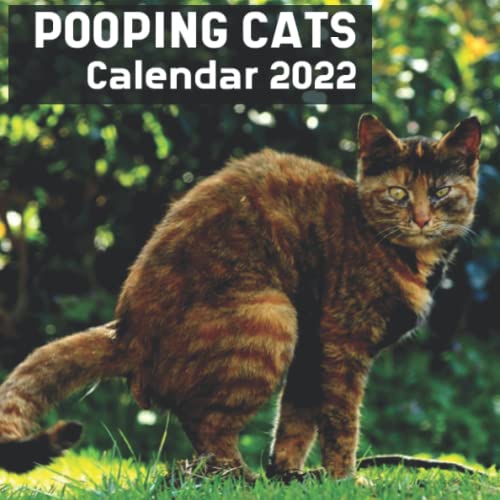 Cats Pooping Calendar 2022: Funny Animal Lover Gag Joke Cats Answering Nature's Call For Cat Lovers/Owner including Space To Take Notes | Gift For: ... Santa, Exchange Stocking Filler or Stuffer