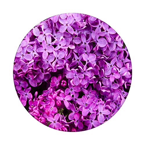 Diseño floral lila en lavanda PopSockets PopGrip Intercambiable