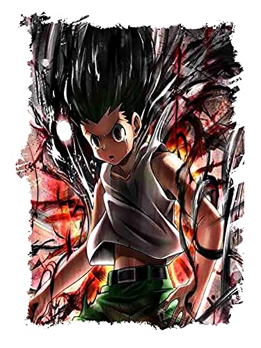 MERCHANDMANIA Camiseta Tacto ALGODÓN A3 Hunter X Hunter GON Aura Furia Cotton Touch Tshirt