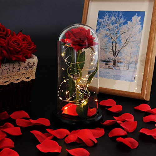 nuomaidi La Bella y La Bestia Rosa Encantada, Elegante Cúpula de Cristal con Base Pino Luces LED, Beauty and Beast Regalos Magicos Decoración para Día de San Valentín Aniversario Bodas